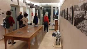 Gruppo di visitatori CAI nelle sale del MECF