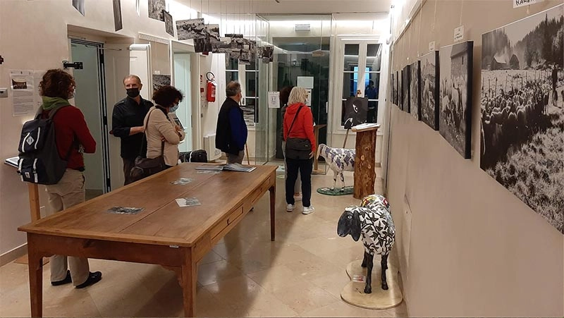 Gruppo di visitatori CAI nelle sale del MECF