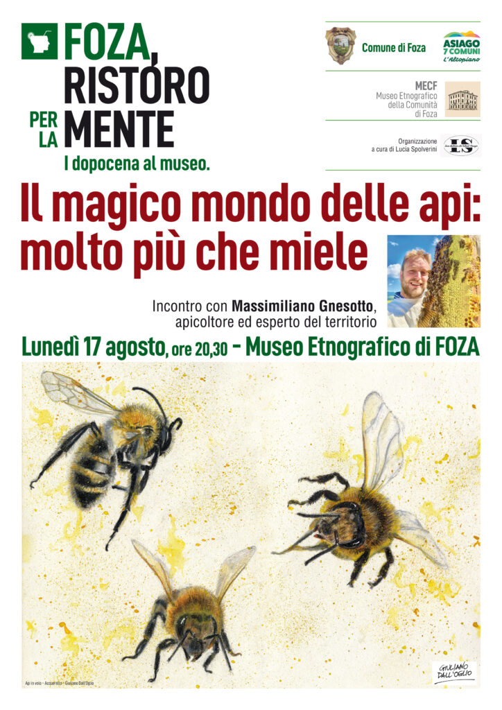 Locandina Gnesotto