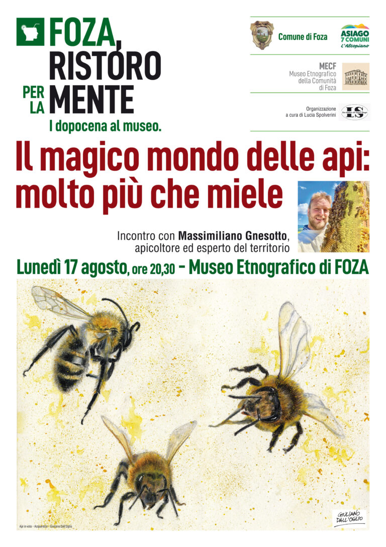 Locandina Gnesotto