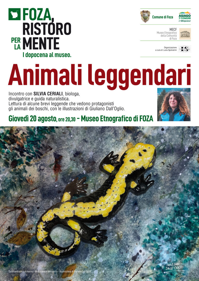Locandina Silvia Ceriali
